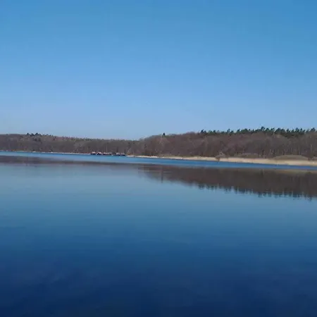 Tierfreundliche Apartment